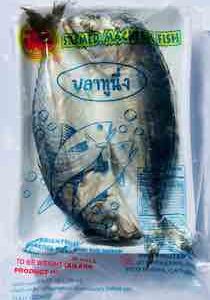 FROZEN PATOU